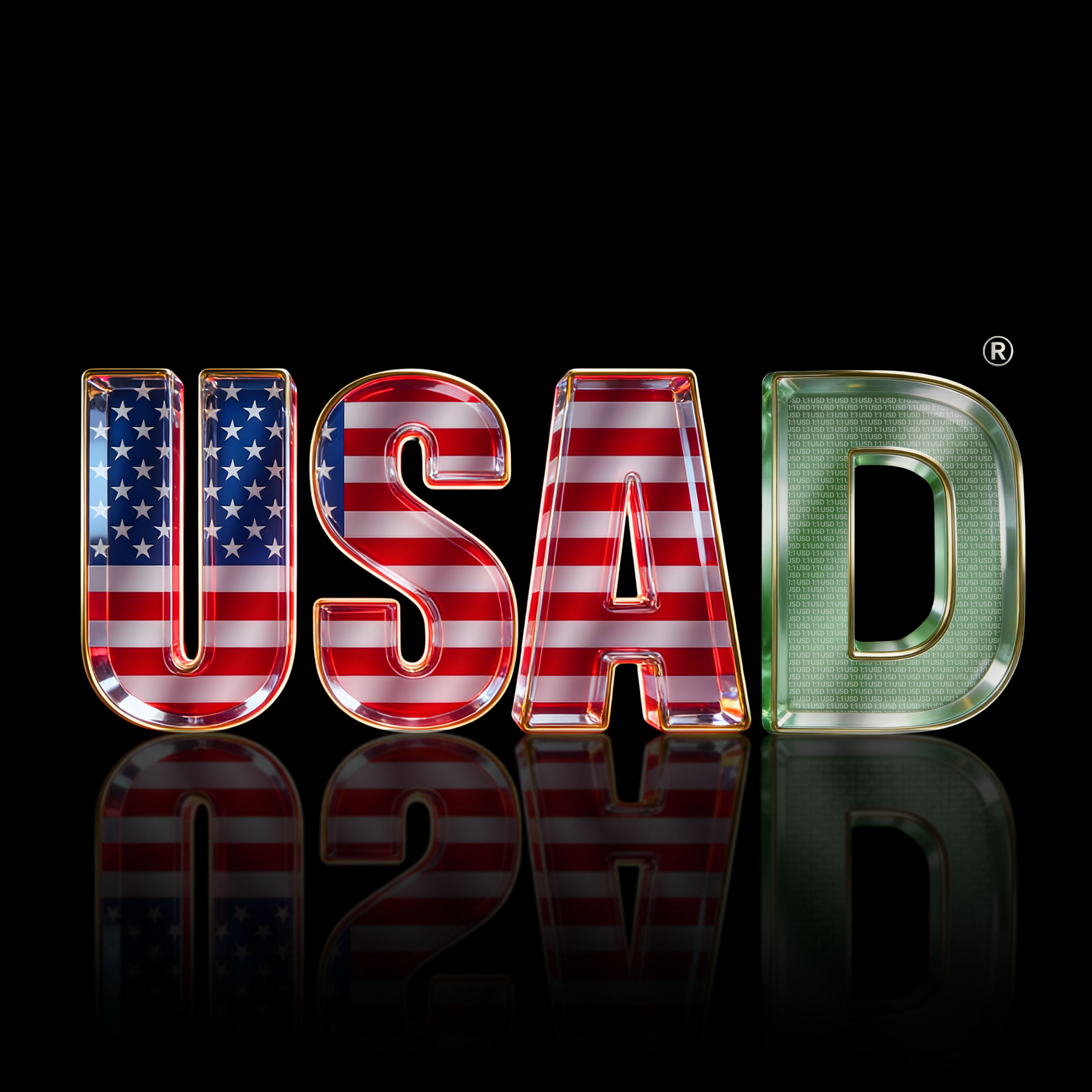 USAD Reflection